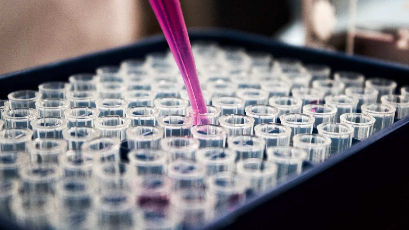 The Future of Personalized Medicine: Moving Beyond One-Size-Fits-All Care